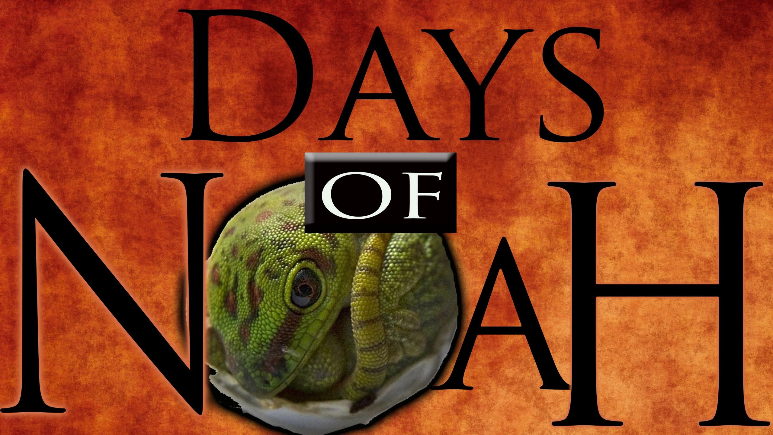 Living In The Days of Noah
